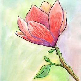 Дорогие дамы! Поздравляем с Международныим женским днём!