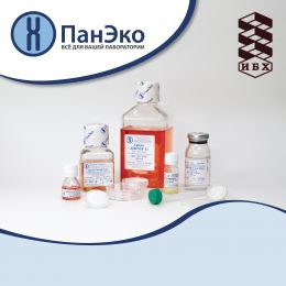 Компания «ПанЭко» посетила Институт биоорганической химии! 