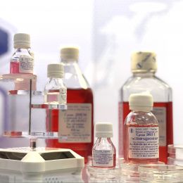 Выставка Аналитика Экспо 2022