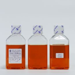 НПП "ПанЭко" получило Регистрационное удостоверение на среду "Лимфоген"