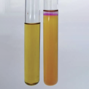 Питательная среда №15 ГРМ (бульон Хоттингера)