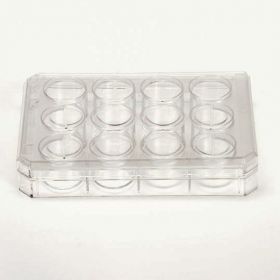 Планшет культуральный 12-луночный