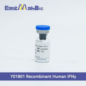 Рекомбинантный белок человека (IFN-γ), 50 мкг, EastMab