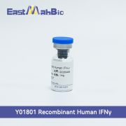 Рекомбинантный белок человека (IFN-γ), 50 мкг, EastMab