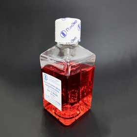 Нейробазальная среда без глутамина, 500 мл, Евро-ПЭТ																														