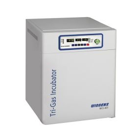 CO₂-инкубатор WCI-40T, мультигазовый  40 л, стерилизация горячим воздухом, Wiggens