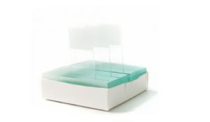 Стекла предметные 75х25х1 мм, позитивно заряженные, со шлифованными краями, с матовым полем, с белым колорированным краем, Citotest