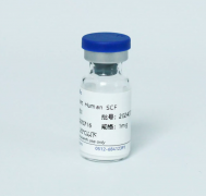 Рекомбинантный белок человека SCF, 1 мг, EastMab