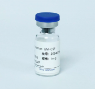 Рекомбинантный белок человека GM-CSF, 50 мкг, EastMab