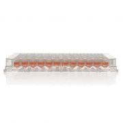 Планшет 96-луночный, коническое дно, без обработки