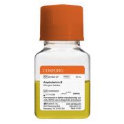 Амфотерицин B (Amphotericin B)