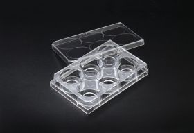 Планшет для конфокальной микроскопии культуральный с дном из стекла, 6-луночный, Ø13 мм, стерильный, SPL