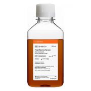 Сыворотка крови эмбриональная телячья 50 мл, EU