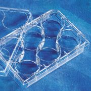 Планшет культуральный 6-луночный