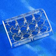 Планшет культуральный 12-луночный