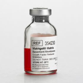 Матригель GFR (Matrigel Matrix GFR), с фен. кр.