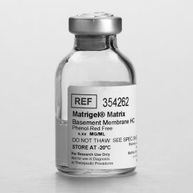 Матригель HC (Matrigel Matrix HC), без фен. кр.