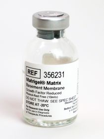 Матригель GFR (Matrigel Matrix GFR), без фен. кр.