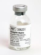 Матригель GFR (Matrigel Matrix GFR), без фен. кр.