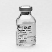 Матригель для органоидов (Matrigel Matrix for Organoid Culture), без фен. кр.