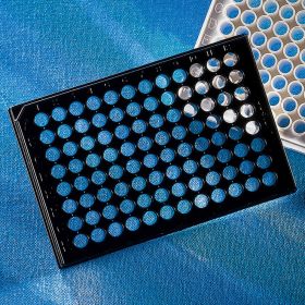 Планшет 96-луночный для ИФА, высокая адгезия, плоское дно, чёрный/прозрачный