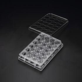 Планшет для 3D-культивирования, 24-луночный, Cell Floater, стерильный, SPL