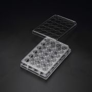 Планшет для 3D-культивирования, 24-луночный, Cell Floater, стерильный, SPL