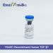 Фактор роста трансформирующий-beta1 (TGF beta1), 50 мкг, EastMab