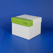 Штатив для пробирок 50 мл