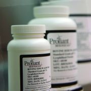 Альбумин бычий, 10 г, Proliant Biologicals