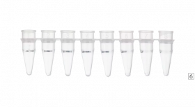 Микропробирки для ПЦР, 0,2 мл, нестерильные, стрипованные, без крышки, Ratiolab