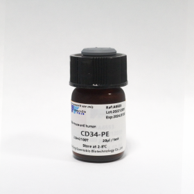 PE-антитела к CD34 человека, 100 тестов, VDO Biotech (QuantoBio)