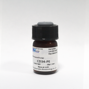 PE-антитела к CD34 человека, 100 тестов, VDO Biotech (QuantoBio)