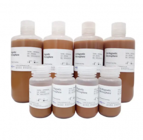 Магнитные микросферы, белок А, коричнево-желтые, 0,6 мкм, 10 мл, VDO Biotech (QuantoBio)