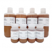 Магнитные микросферы, белок А, коричнево-желтые, 0,6 мкм, 10 мл, VDO Biotech (QuantoBio)