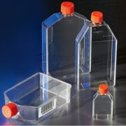 Флакон культуральный 150 см² - ЛИКВИДАЦИЯ