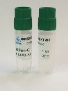 Фибронектин человека, стерильный раствор