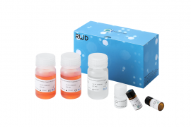 Высокоактивный набор для ферментативного расщепления ткани мозга взрослых (мышь, крыса)