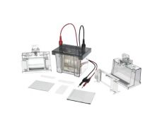 Камера для вертикального электрофореза DL-Mini01, 2 геля, 83х73 мм, Dlab