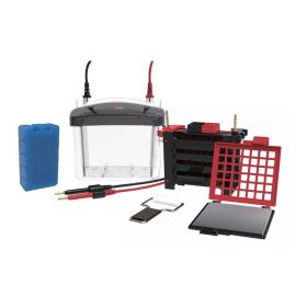 Камера для блоттинга DL-ZY04, 4 кассеты для переноса, площадь 110×90 мм, Dlab