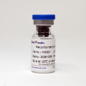 Фактор роста фибробластов, основной, (FGF-basic), 50 мкг, EastMab 