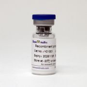 Фибронектин, 1 мг, EastMab