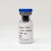 Фактор роста трансформирующий-beta1 (TGF beta1), 50 мкг, EastMab