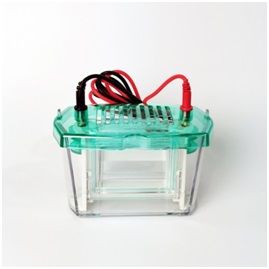 Камера для вертикального электрофореза SVE-2, 2 геля, 83х73 мм, Servicebio