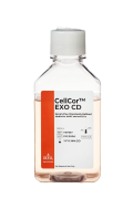 CellCor™ EXO CD химически определенная бессывороточная среда для мезенхимальных стволовых клеток человека, 500 мл, XCELL