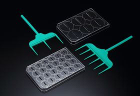 Скребок SPLScar™ для 24-луночных планшетов, 1 мм, стерильный, SPL