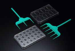 Скребок SPLScar™ для 24-луночных планшетов, 1 мм, стерильный, SPL