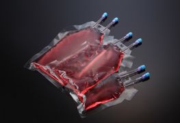 Пакеты для культивирования, 500 мл, 224×154 мм, стерильный, SPL