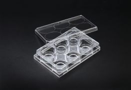 Планшет для конфокальной микроскопии культуральный с дном из стекла, 6-луночный, Ø20 мм, стерильный, SPL