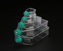 Флакон культуральный, 25 см², стерильный, с невентилируемой крышкой, SPL